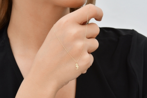 Quyumcu - 14 Ayar Altın Denizatı Kolye (1) Quyumcu - 14 Ayar Altın Denizatı Kolye (1)