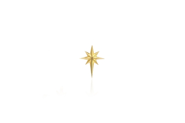 Quyumcu - 14K Gold Pole Star Earring (1) Quyumcu - 14K Gold Pole Star Earring (1)